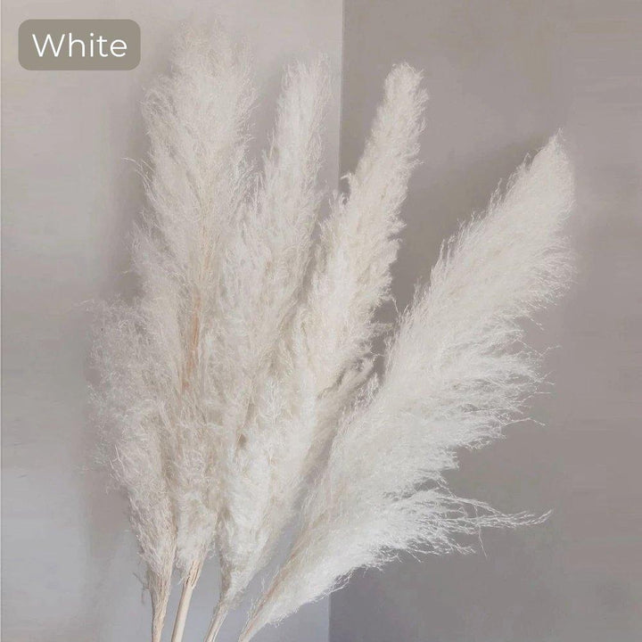 Kalsten | 80 cm natural, real dried pampas grass bouquet (white / beige / gray) │ fluffy feather for modern boho home decor