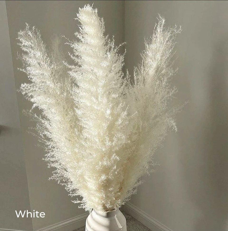Kalsten | 80 cm natural, real dried pampas grass bouquet (white / beige / gray) │ fluffy feather for modern boho home decor