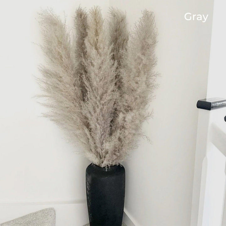 Kalsten | 80 cm natural, real dried pampas grass bouquet (white / beige / gray) │ fluffy feather for modern boho home decor