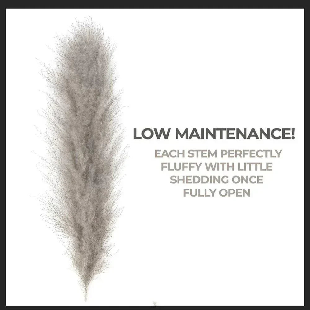 Kalsten | 80 cm natural, real dried pampas grass bouquet (white / beige / gray) │ fluffy feather for modern boho home decor