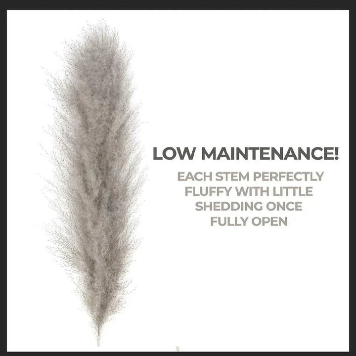 Kalsten | 80 cm natural, real dried pampas grass bouquet (white / beige / gray) │ fluffy feather for modern boho home decor