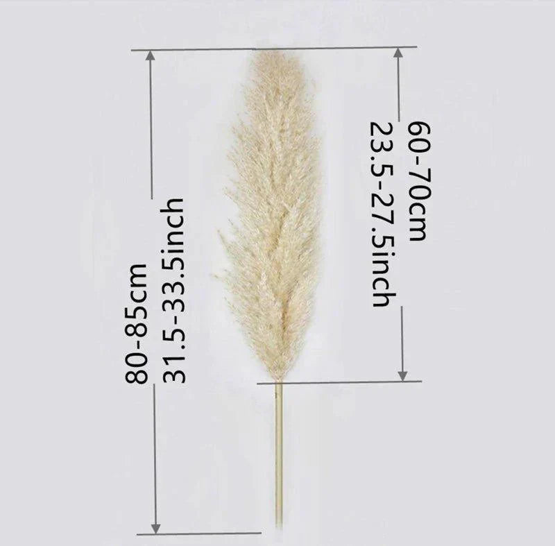 Kalsten | 80 cm natural, real dried pampas grass bouquet (white / beige / gray) │ fluffy feather for modern boho home decor