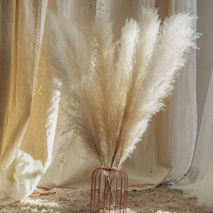Kalsten | 80 cm natural, real dried pampas grass bouquet (white / beige / gray) │ fluffy feather for modern boho home decor