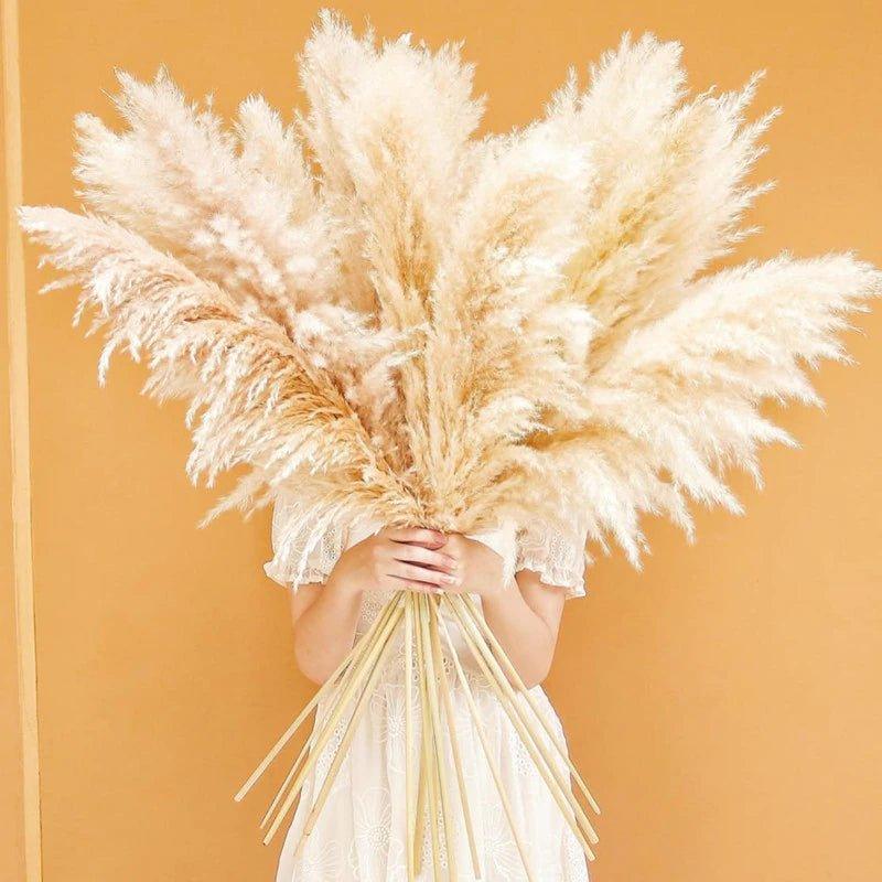 Kalsten | 80 cm natural, real dried pampas grass bouquet (white / beige / gray) │ fluffy feather for modern boho home decor