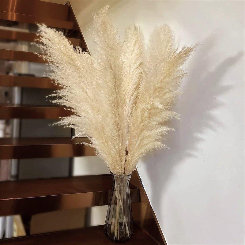 Kalsten | 80 cm natural, real dried pampas grass bouquet (white / beige / gray) │ fluffy feather for modern boho home decor