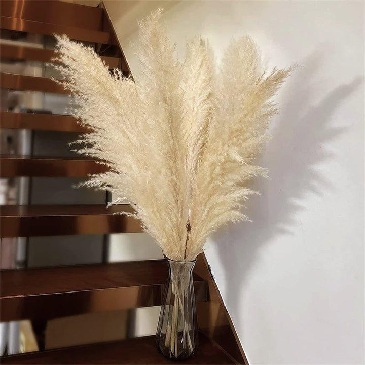 Kalsten | 80 cm natural, real dried pampas grass bouquet (white / beige / gray) │ fluffy feather for modern boho home decor