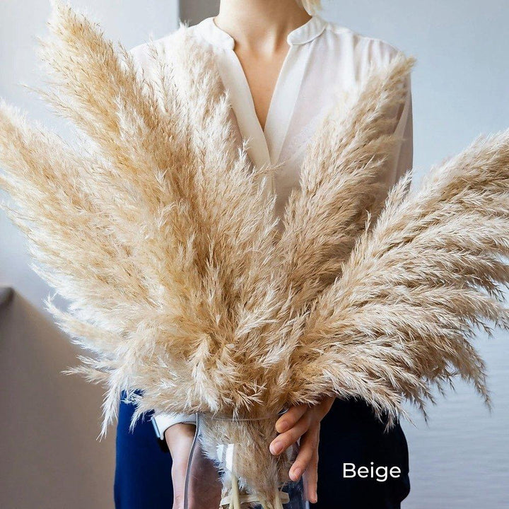 Kalsten | 80 cm natural, real dried pampas grass bouquet (white / beige / gray) │ fluffy feather for modern boho home decor