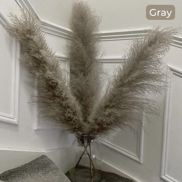 Kalsten | 80 cm natural, real dried pampas grass bouquet (white / beige / gray) │ fluffy feather for modern boho home decor