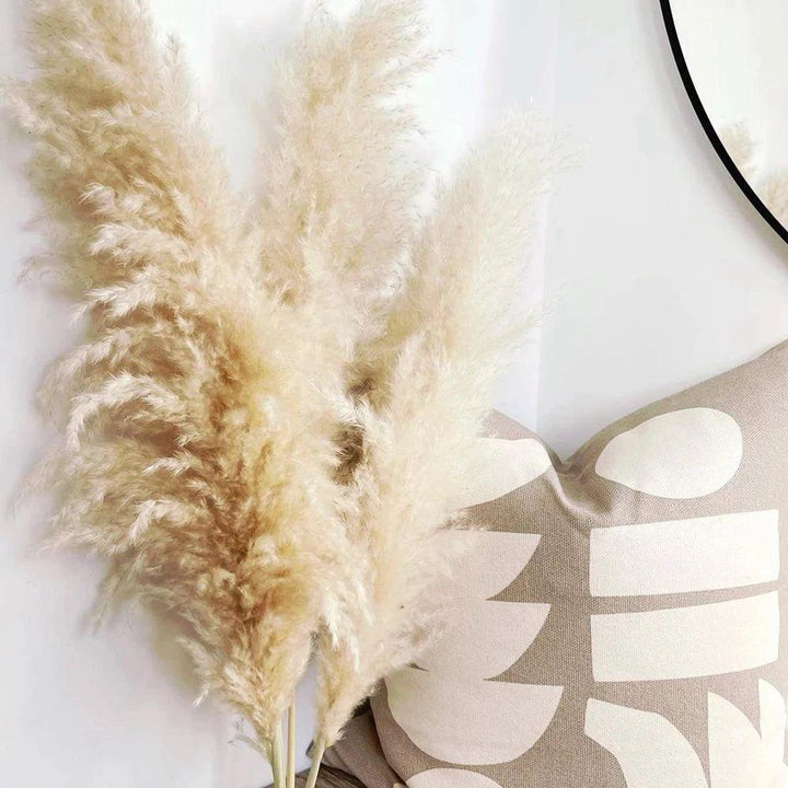 Kalsten | 80 cm natural, real dried pampas grass bouquet (white / beige / gray) │ fluffy feather for modern boho home decor
