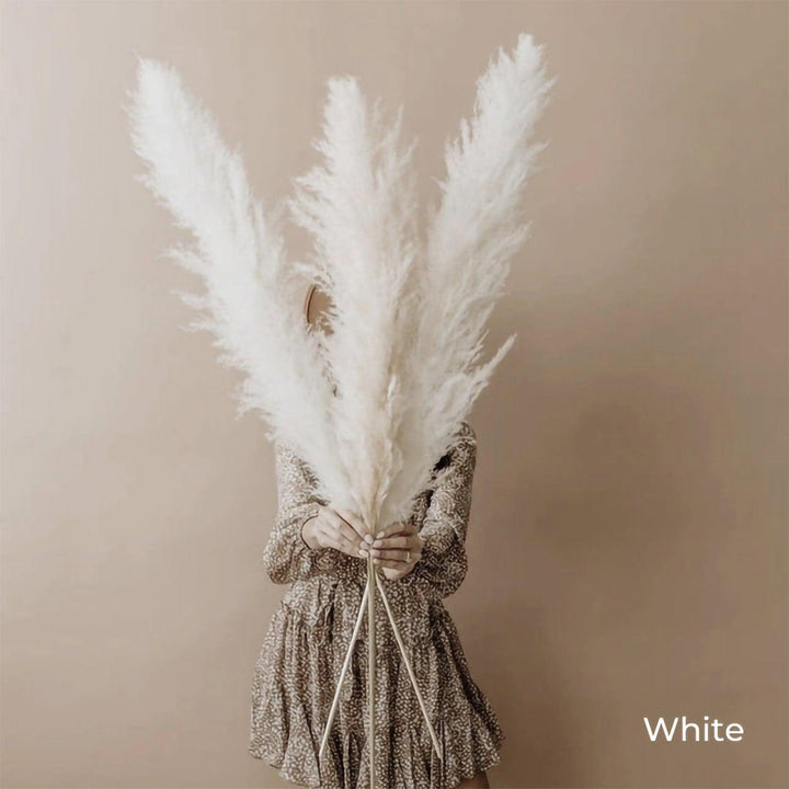 Kalsten | 80 cm natural, real dried pampas grass bouquet (white / beige / gray) │ fluffy feather for modern boho home decor