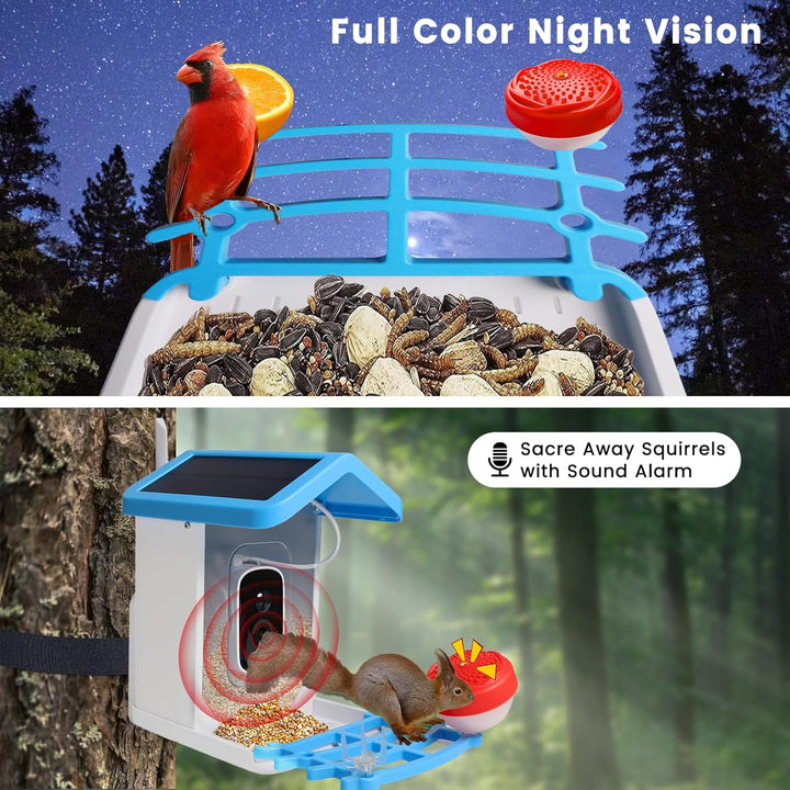 Smart Bird Feeder with Solar Camera – AI Bird Recognition & Night Vision | Kalsten
