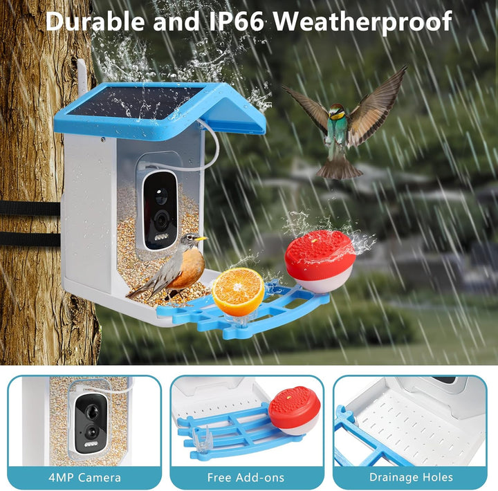 Smart Bird Feeder with Solar Camera – AI Bird Recognition & Night Vision | Kalsten
