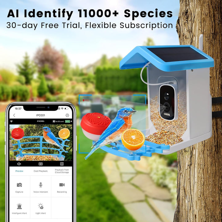 Smart Bird Feeder with Solar Camera – AI Bird Recognition & Night Vision | Kalsten