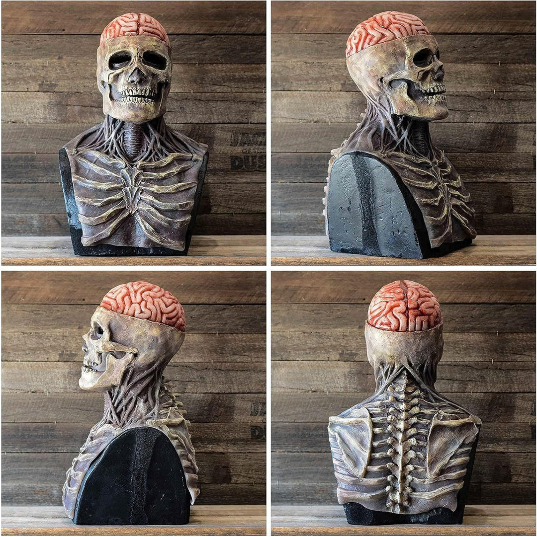 Kalsten | Halloween Skull Mask with Brain Detail