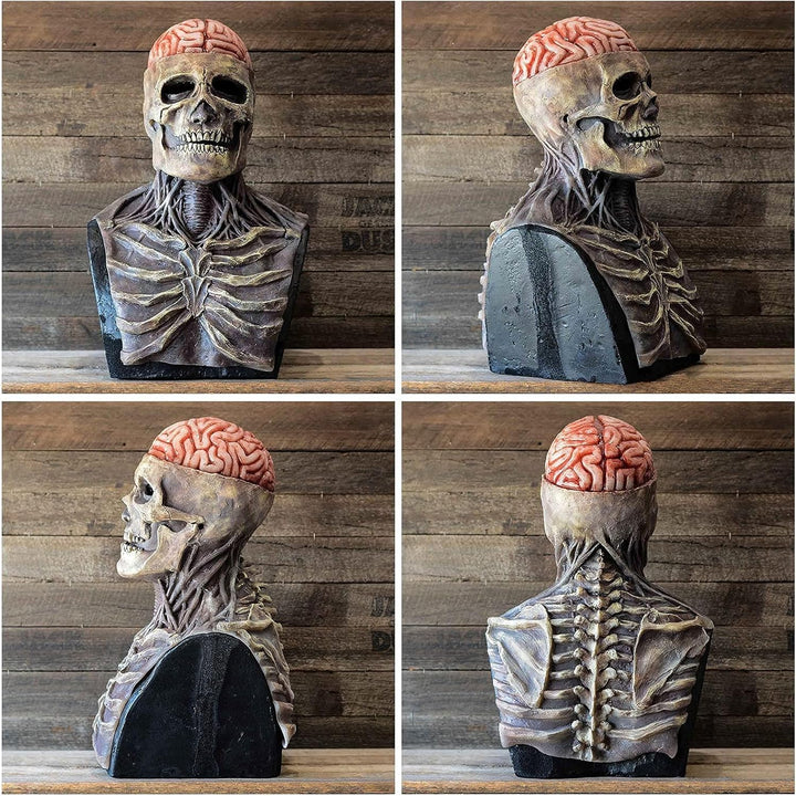 Kalsten | Halloween Skull Mask with Brain Detail
