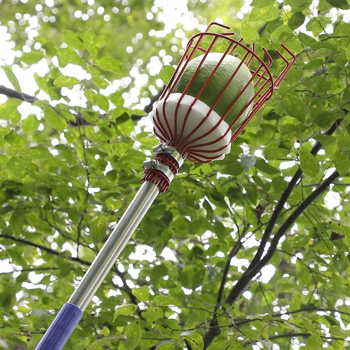 Fruit Picker Tool | Kalsten