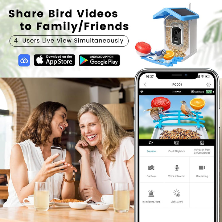 Smart Bird Feeder with Solar Camera – AI Bird Recognition & Night Vision | Kalsten