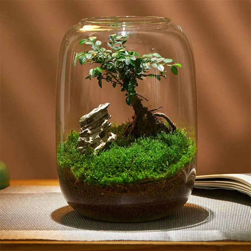Micro Landscape Green Oasis Glass Vases | Brehn