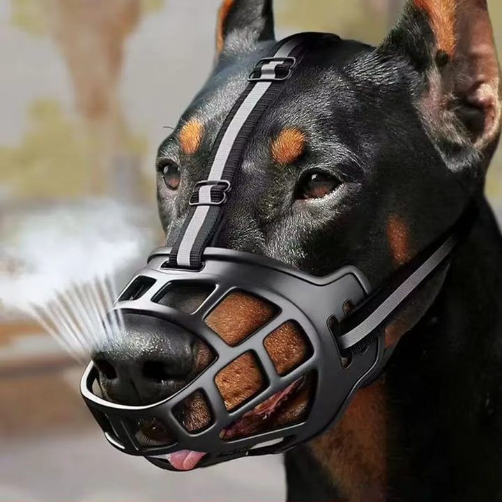 GuardPaw — Finally enjoy every walk worry-free and secure | Kalsten