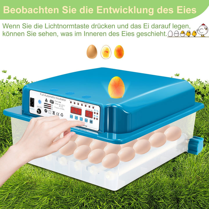 Brutautomat Fully Automatic Incubator for Chickens 36 Eggs | Kalsten