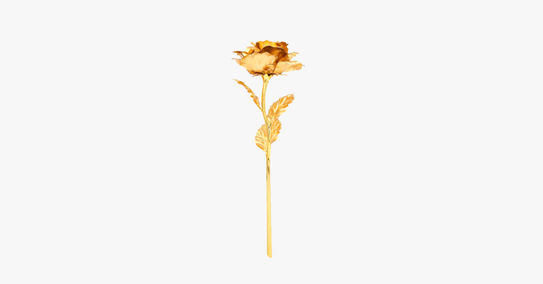 Kalsten | 24K gold-plated real rose with gift box