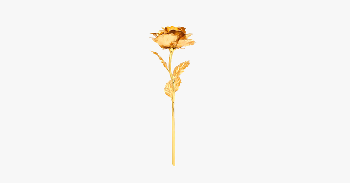 Kalsten | 24K gold-plated real rose with gift box