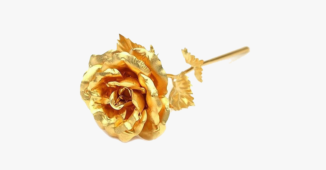 Kalsten | 24K gold-plated real rose with gift box