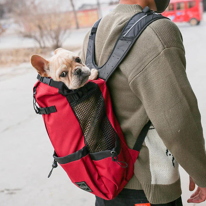 Kalsten | Dog Backpack – Comfortable Carrying Bag for Medium Dogs with Safety Strap and Storage Pockets