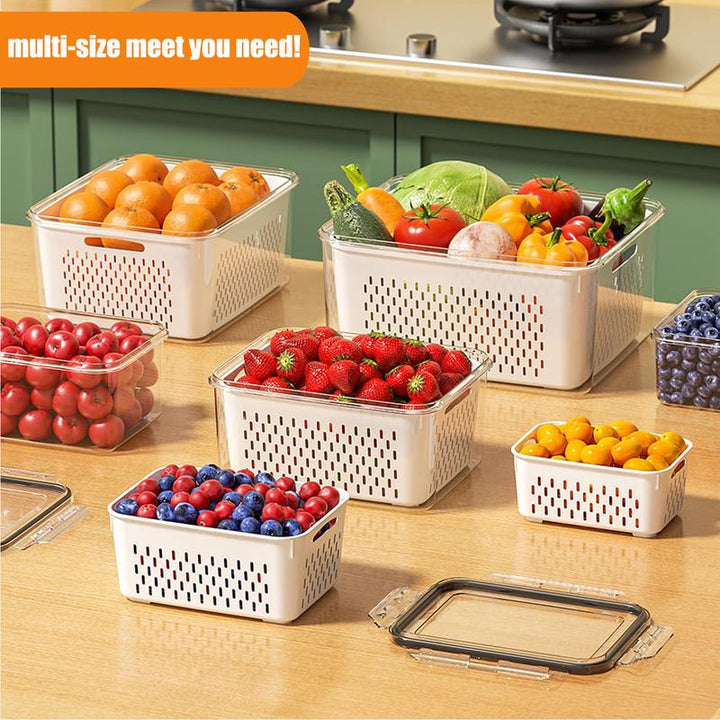 PureFresh Food Keeper — Freshness that brings your food to life and lets you savor every bite! | Kalsten