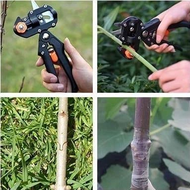 Kalsten | Garden Professional Grafting Cutting Tool