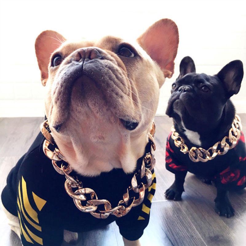Noxord | Pet Jewelry Thick Gold Chain Collar