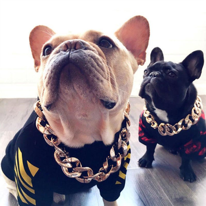 Noxord | Pet Jewelry Thick Gold Chain Collar