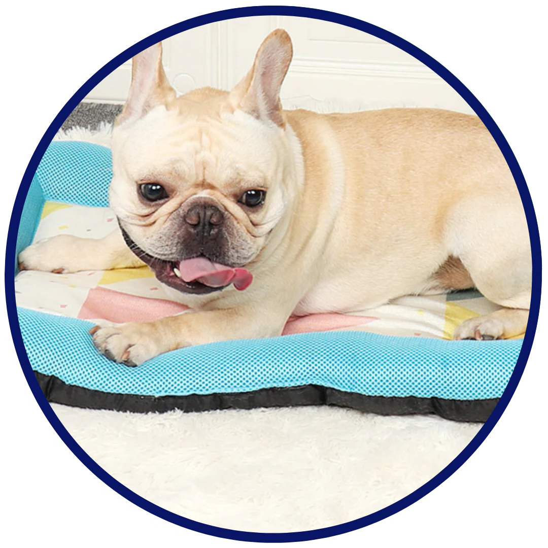 Pet Silk Cooling Mat | Kalsten