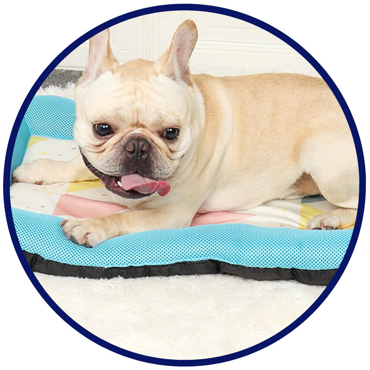 Pet Silk Cooling Mat | Kalsten