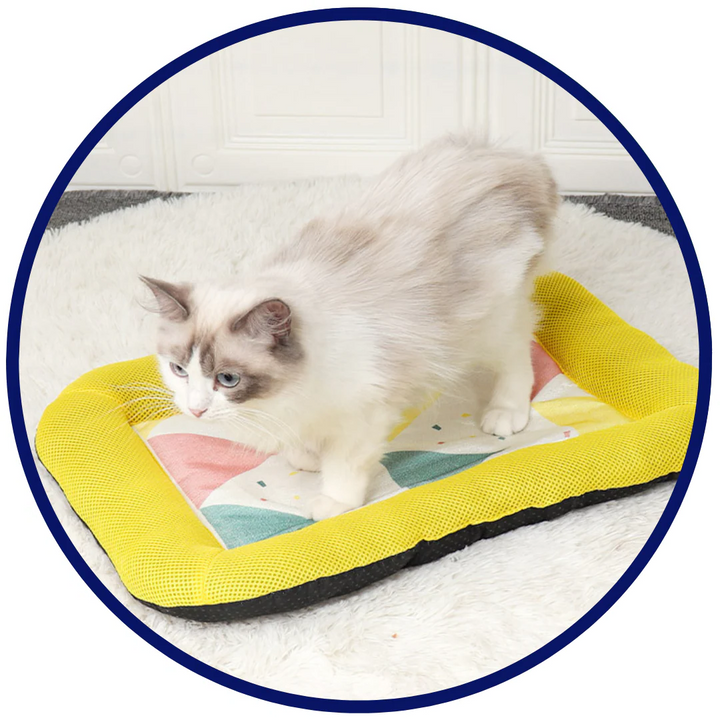 Pet Silk Cooling Mat | Kalsten