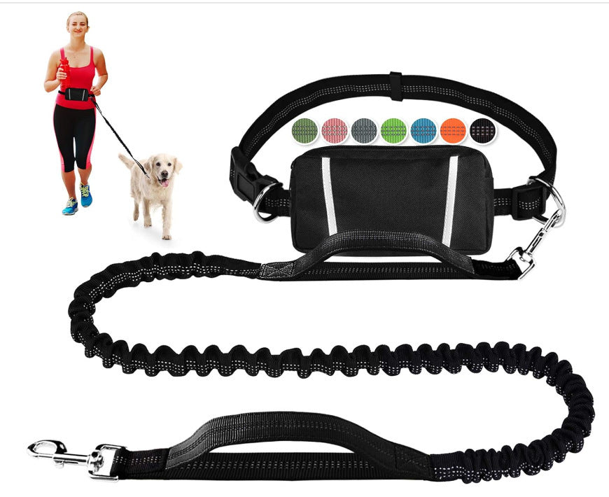 FlowLeash — Experience gentle control and relaxed walks without jerks! | Kalsten