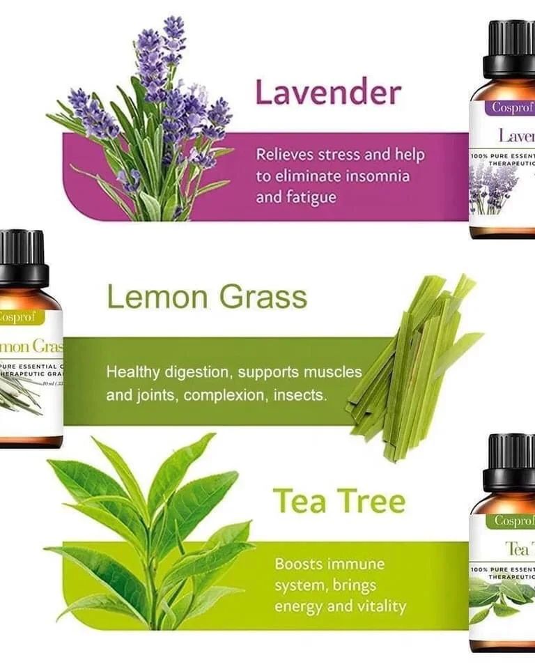 Kalsten | Set Of 12 Pure Essential Oils Gift Set