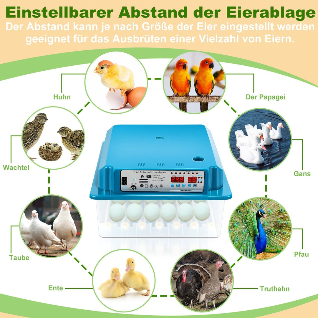 Brutautomat Fully Automatic Incubator for Chickens 36 Eggs | Kalsten