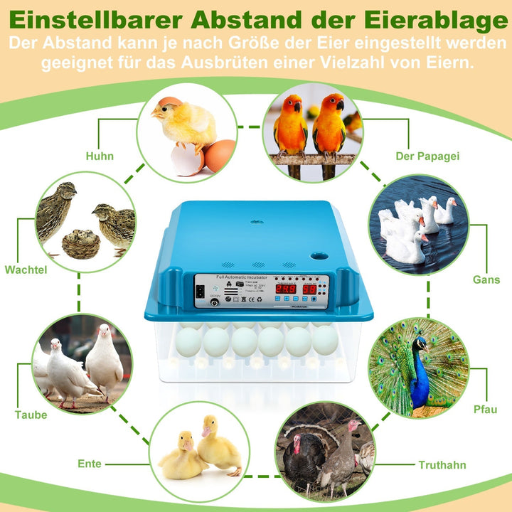 Brutautomat Fully Automatic Incubator for Chickens 36 Eggs | Kalsten