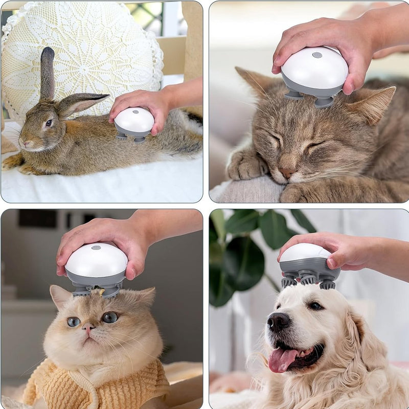 Mini Head Massager, available for pets and people | Kalsten