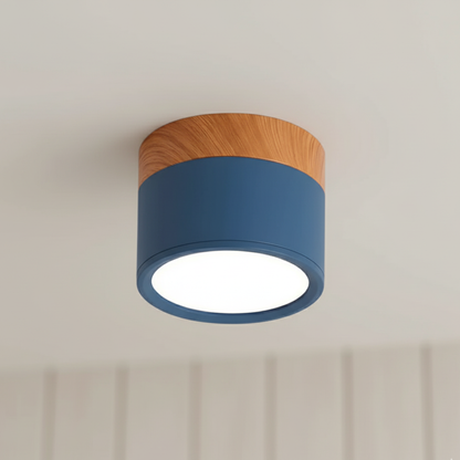 Aluminum LED Flush Mount Ceiling Light