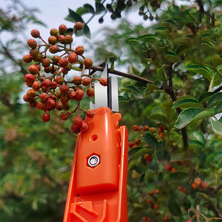 Efficient Pepper Picking Tools | Kalsten