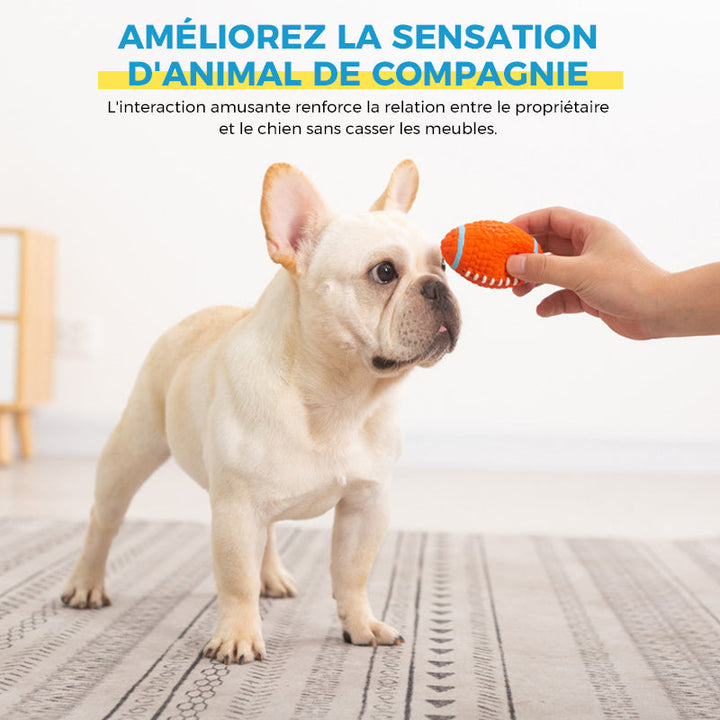 Immortal toy for aggressive chewers | Kalsten
