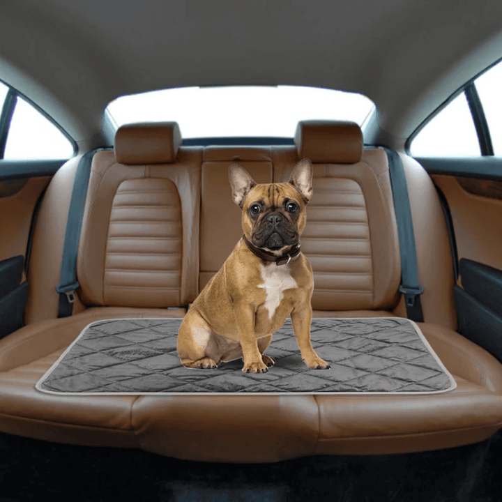 ToastyPaws Dog Self-Heating Pad