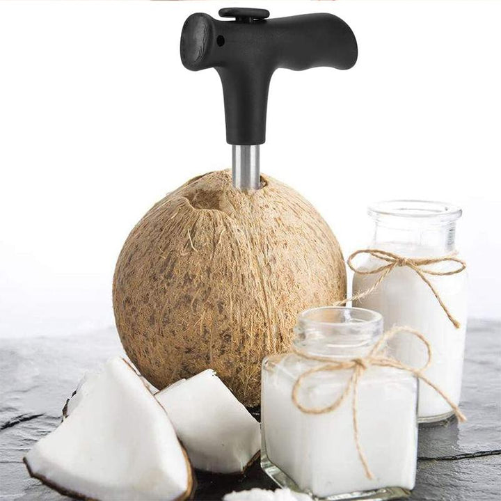 Coconut opening tool in Stainless Steel | Kalsten