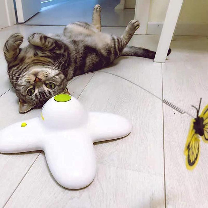Kalsten | Automatic Butterfly Funny Cat Toy