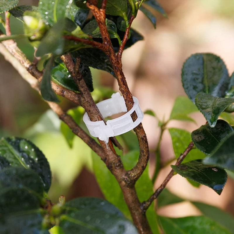 Plastic ring for holding plants | Kalsten