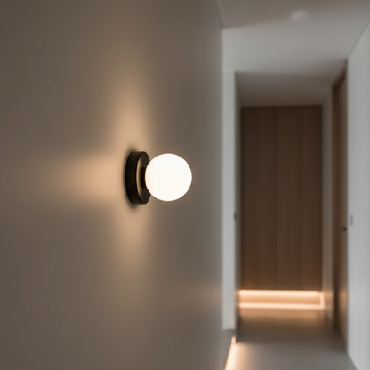 Frosted Glass Globe Wall & Ceiling Sconce
