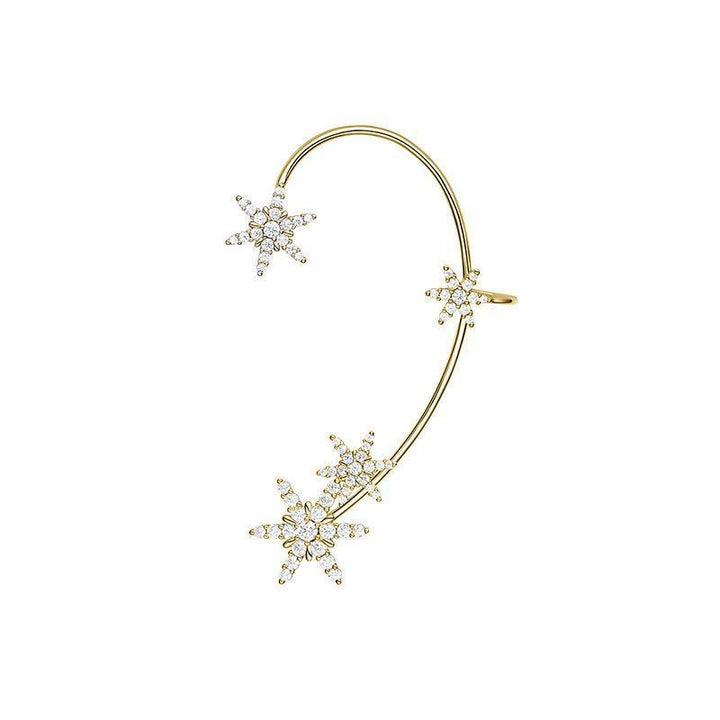Kalsten | Shiny Zircon Earrings