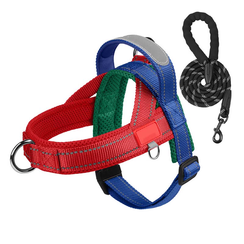 PawEase Comfort Harness — Relaxed Dressing and Unlimited Freedom for Your Dog | Kalsten